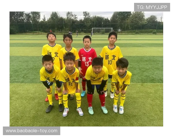 南京足球队状态揭秘:从训练到比赛的全景分析与展望