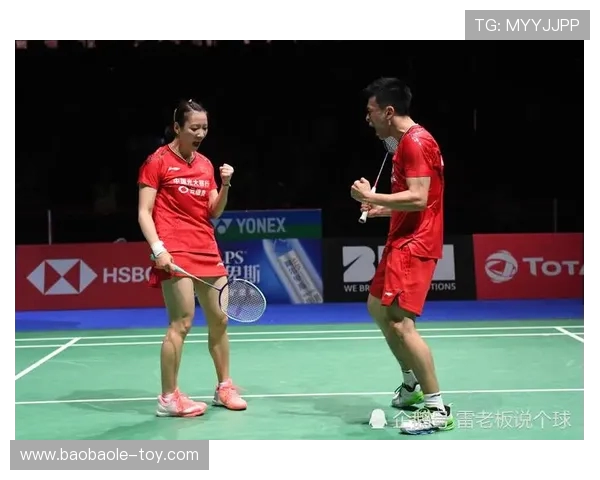 赛后分析：西安羽毛球队与成都羽毛球队的战术对决与启示