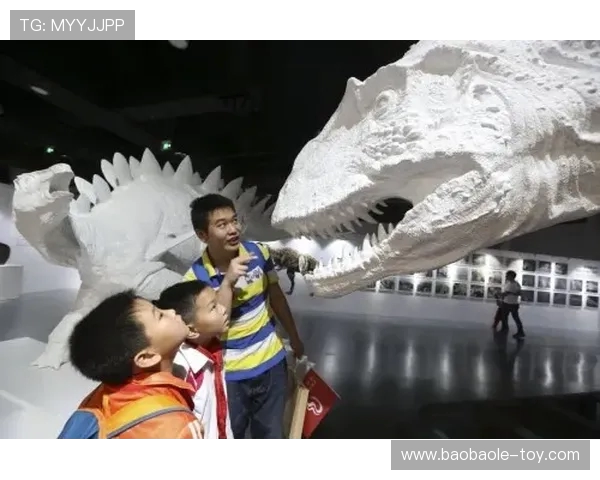 重庆攀岩队转型之路的真实记录与成长探索