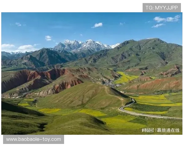 丽江飞虎与新疆精彩对决录像回放全景解析与赛后点评